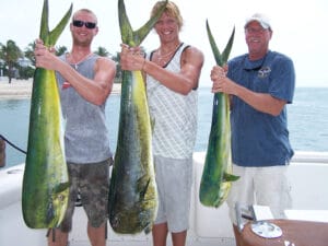 Mahi catches